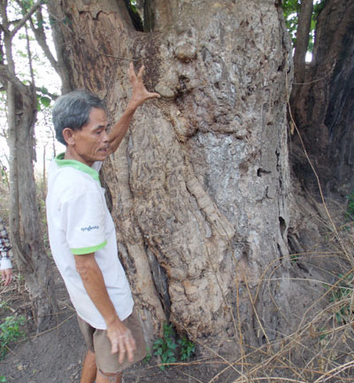 Kỳ bí chuyện hổ nghe kinh Phật, nửa đêm cõng người đi hộ sinh